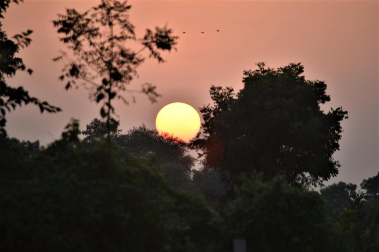 Ranthambhore Bagh Dwar Camp Khilchīpur 외부 사진