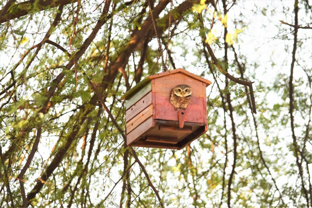 Ranthambhore Bagh Dwar Camp Khilchīpur 외부 사진